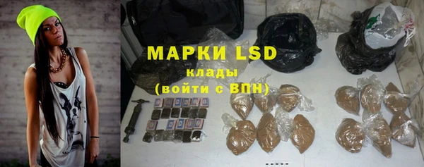 сатива Верея